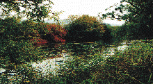 Przykłady środowiska naturalnego w sąsiedztwie rzeki Odry